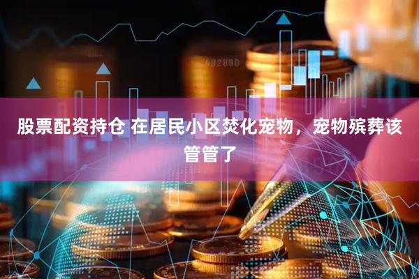 股票配资持仓 在居民小区焚化宠物，宠物殡葬该管管了