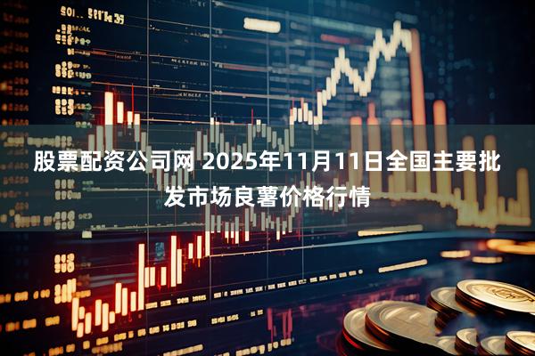 股票配资公司网 2025年11月11日全国主要批发市场良薯价格行情