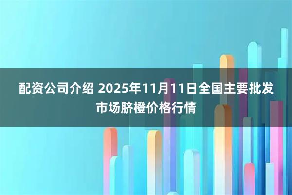 配资公司介绍 2025年11月11日全国主要批发市场脐橙价格行情