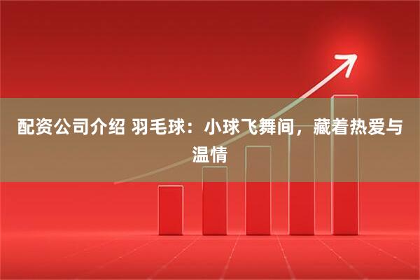 配资公司介绍 羽毛球:小球飞舞间,藏着热爱与温情